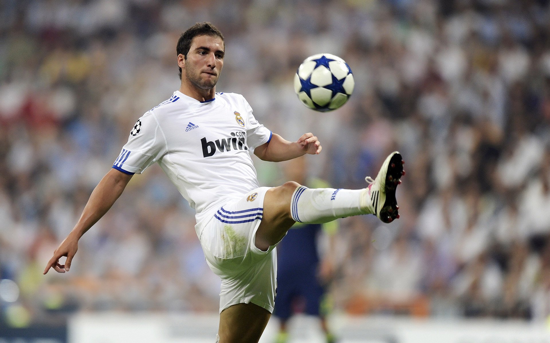 球迷互动：鲜活的现场应援和趣味投票，球迷聚集